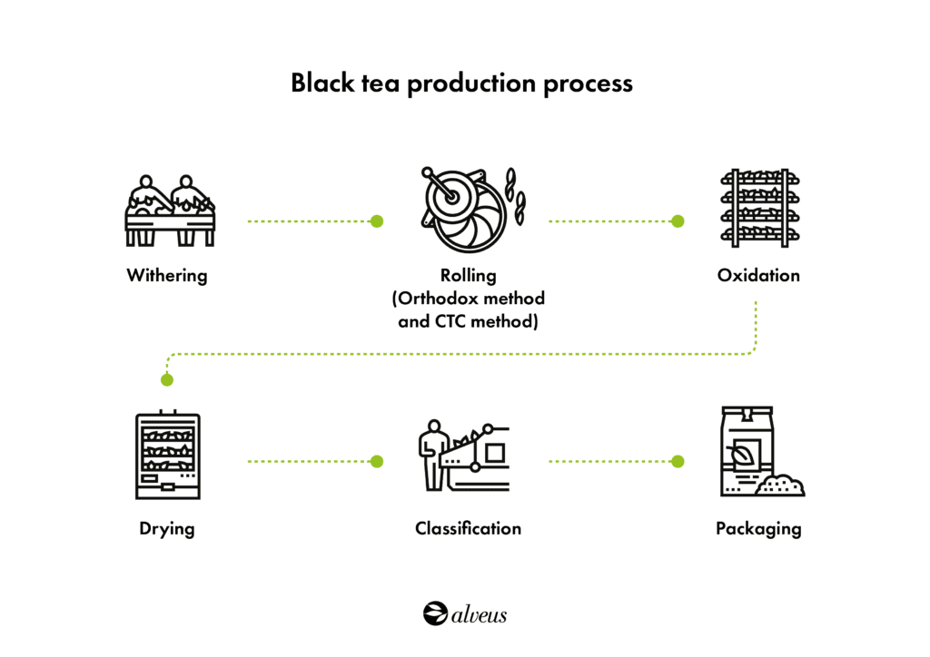 Manufacturing process of black tea