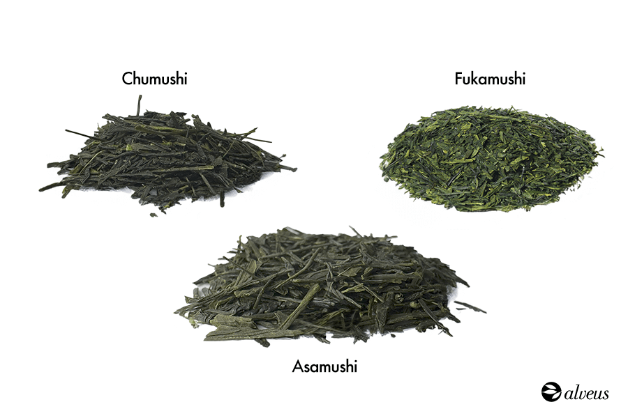 Tipos de Sencha