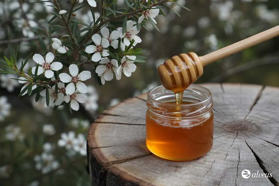 miel manuka