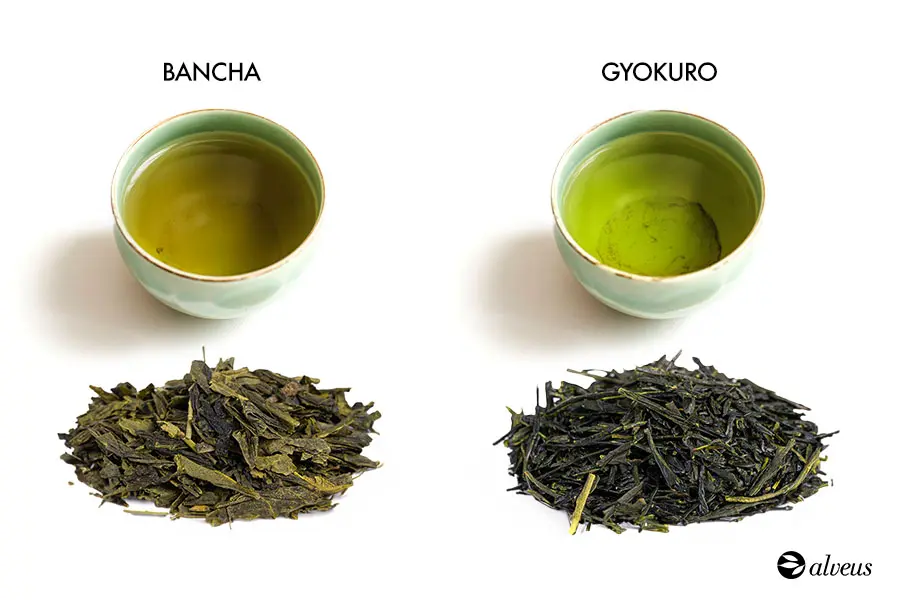 Comparison of Gyokuro and Bancha tea