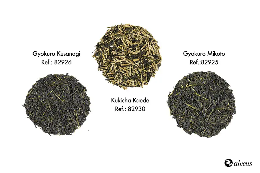 Alveus Gyokuro Teas