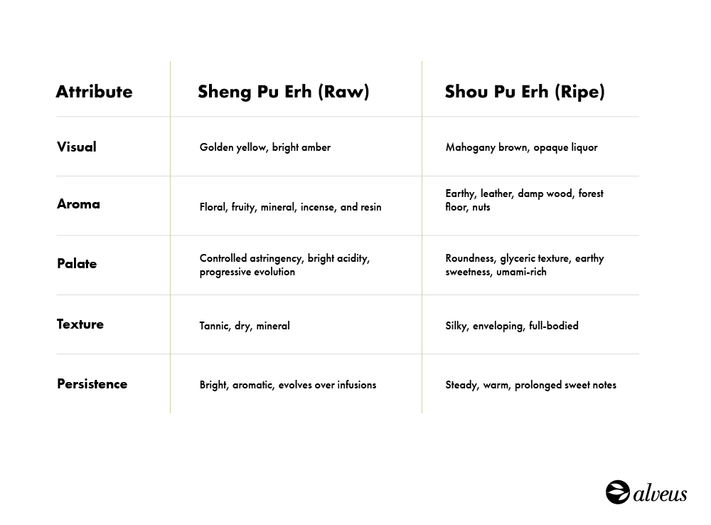 Sensory attributes of Pu Erh