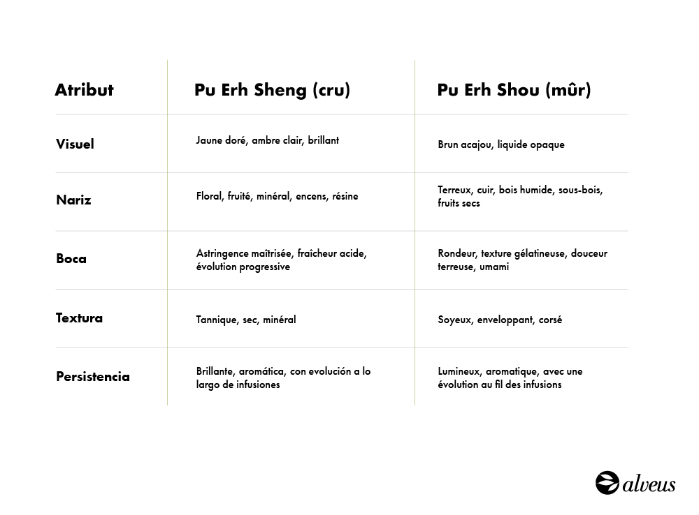 Attributs sensoriels du Pu Erh