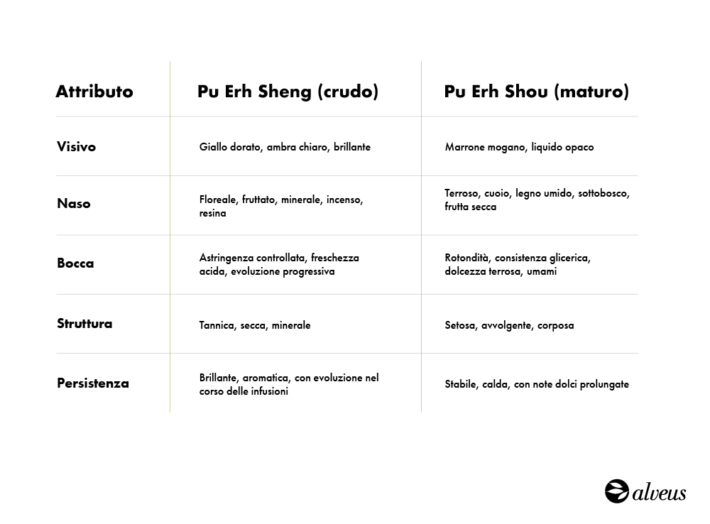 Attributi sensoriali del Pu Erh