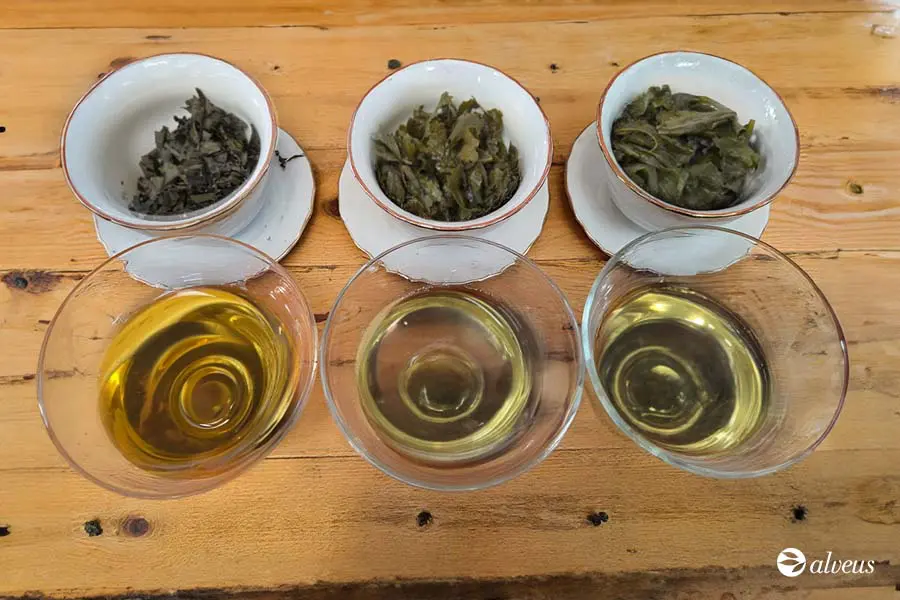 Infusions de thé Tie Guan Yin à différentes étapes