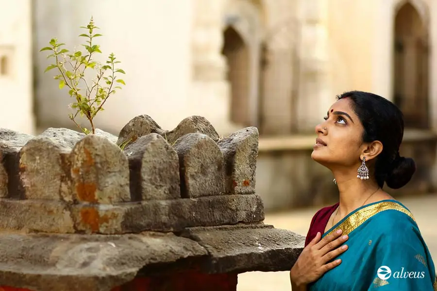 Tulsi sur un autel indien