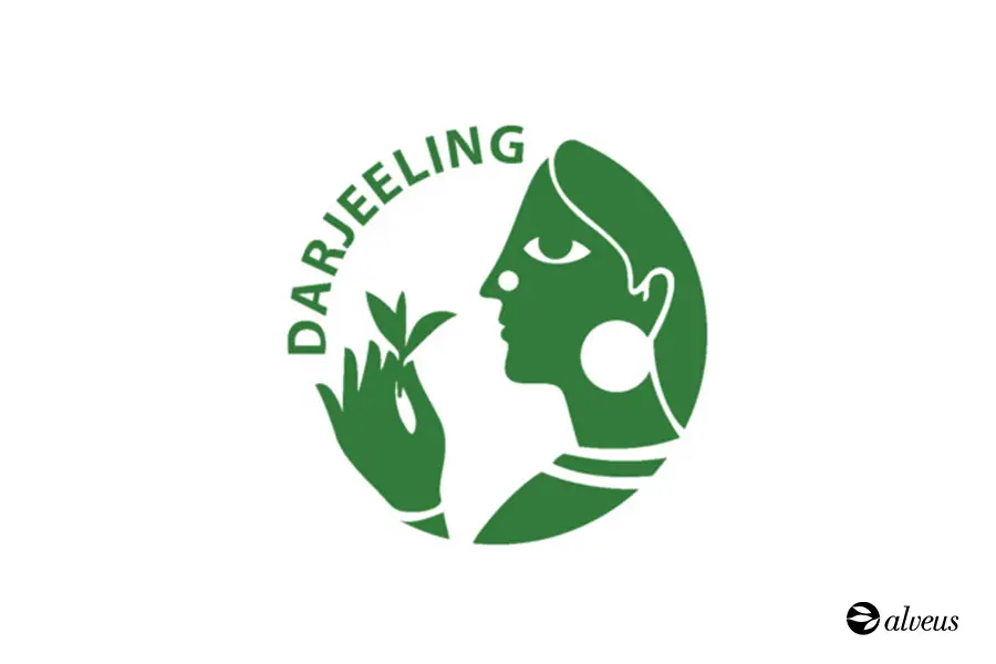 Second Flush Darjeeling teas