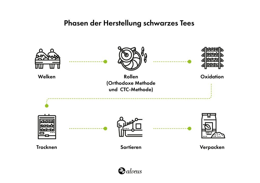 Verfahren zur Herstellung von schwarzem Tee
