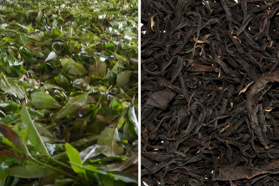 Image of a tea factory where the CTC rolling method is used in the production of black tea.
