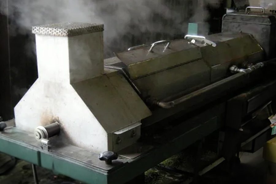 Manufacturing of steamed green tea