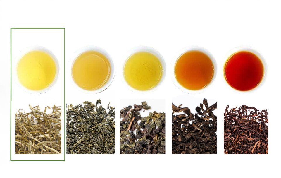 Comparison of White Tea with Other Varieties