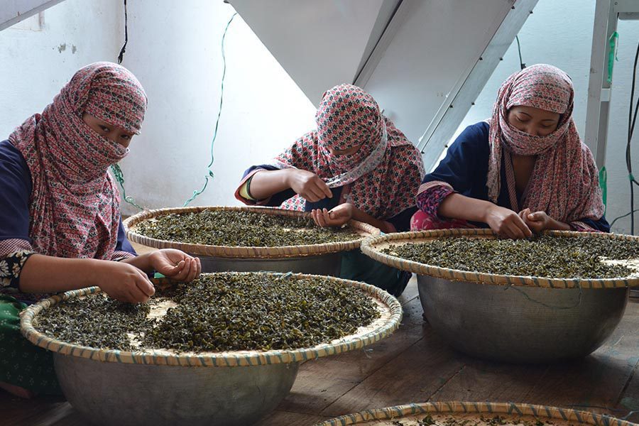 Tea sorting by people