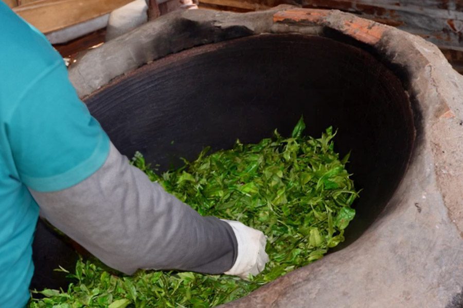 maocha Pu-erh tea leaves