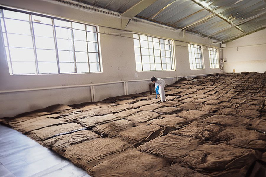 fermentation stage of ripe Pu-erh