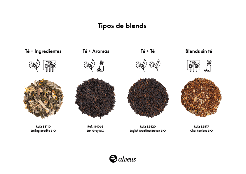 infografía tipos blends