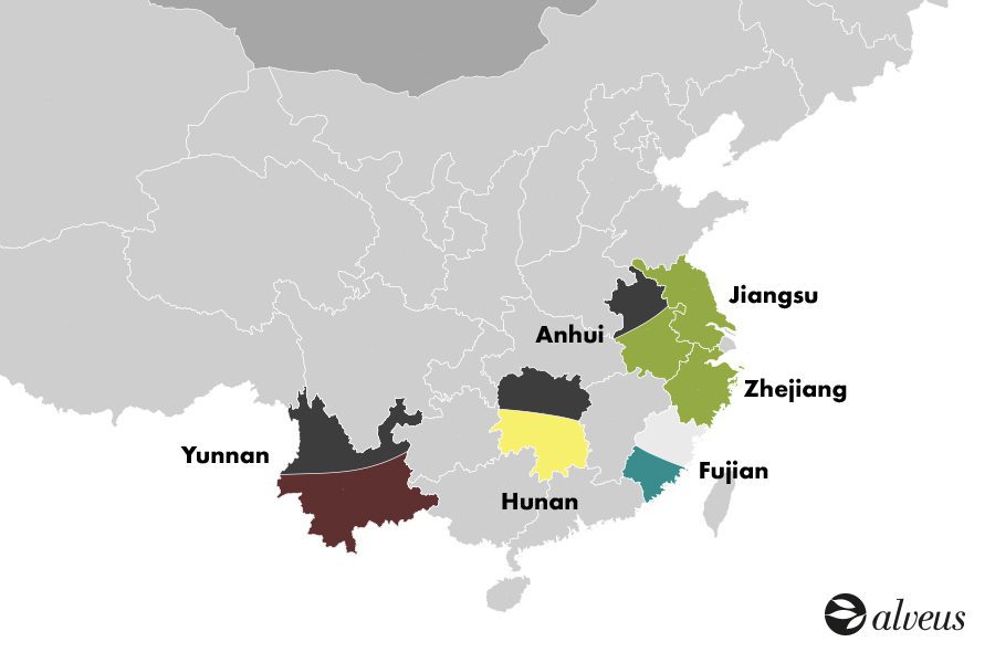 tea production in China