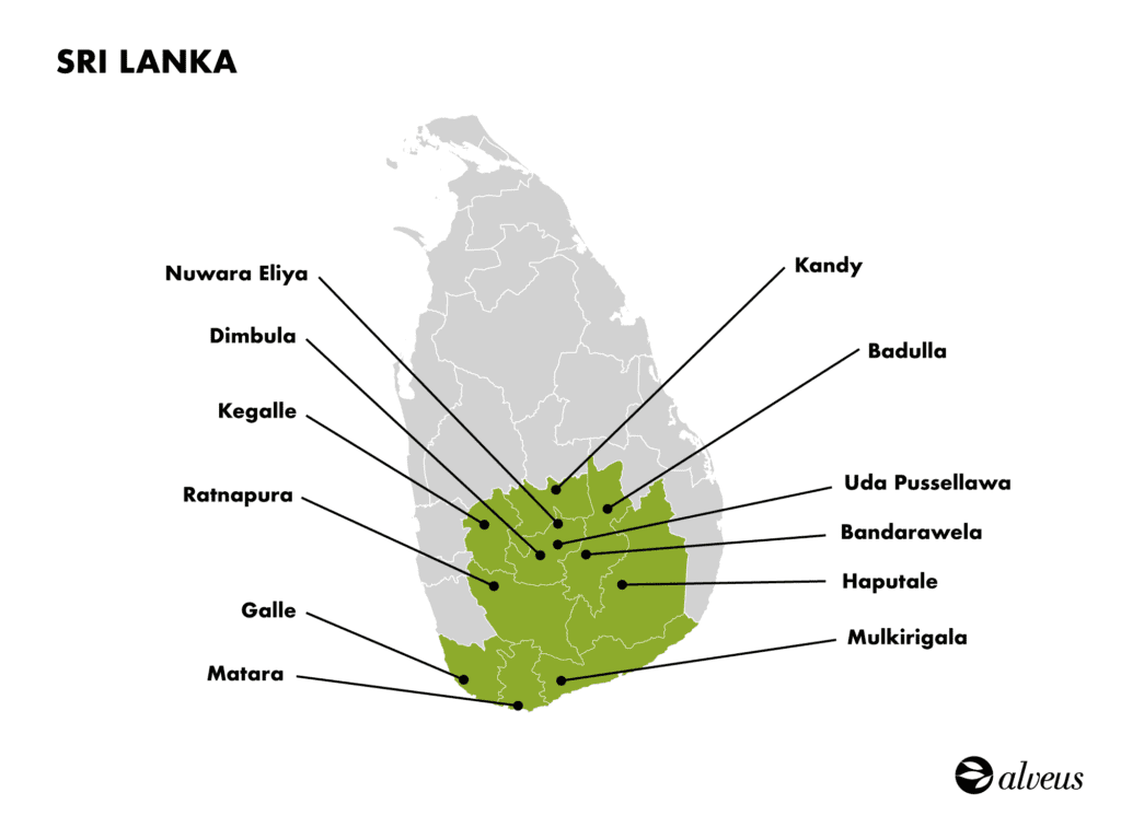 zonas de cultivo del té de ceylan