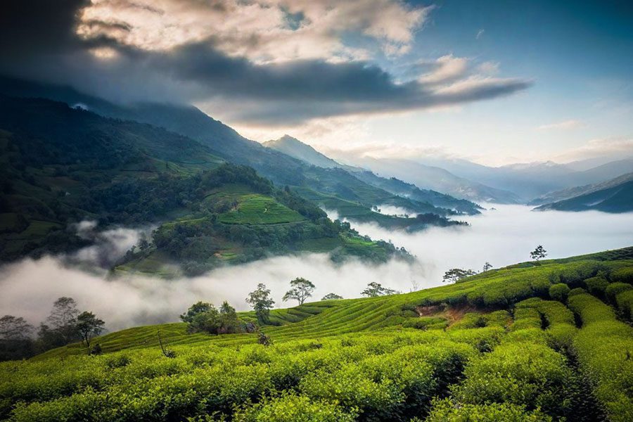 Le paysage montagneux de Taiwan