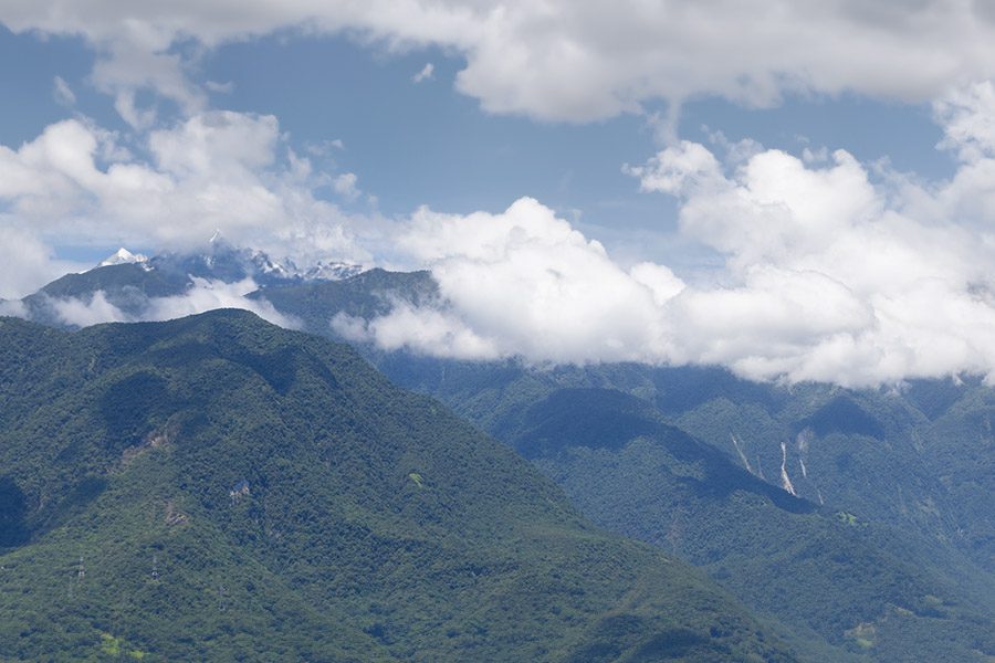 pic gelé de dong ding