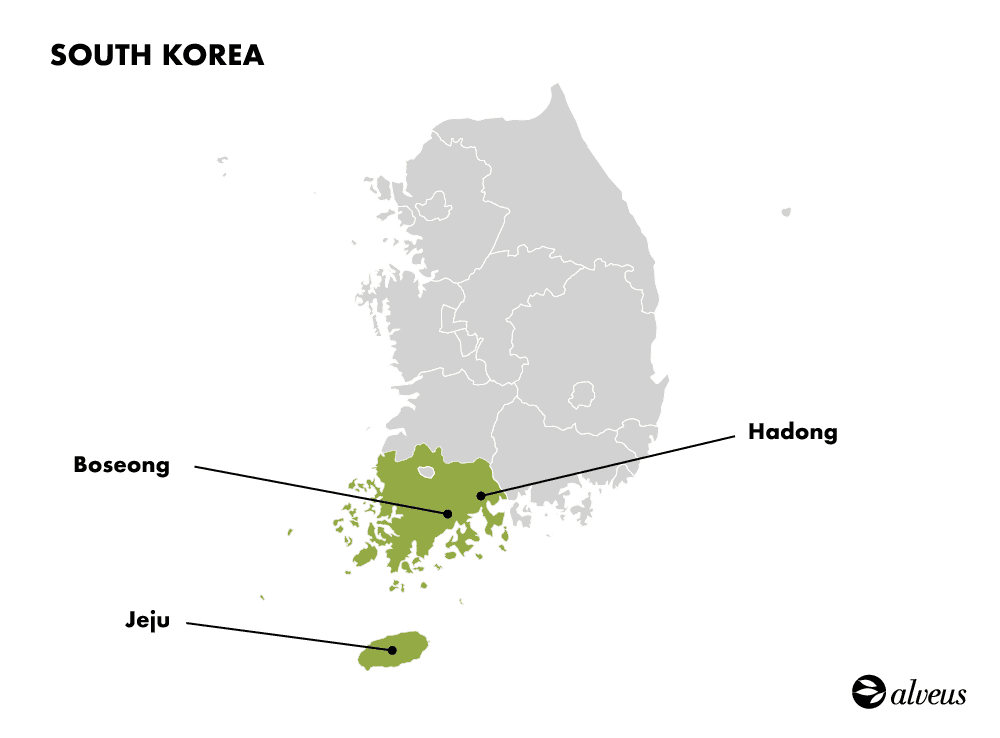 zones de culture du thé en Corée du sud