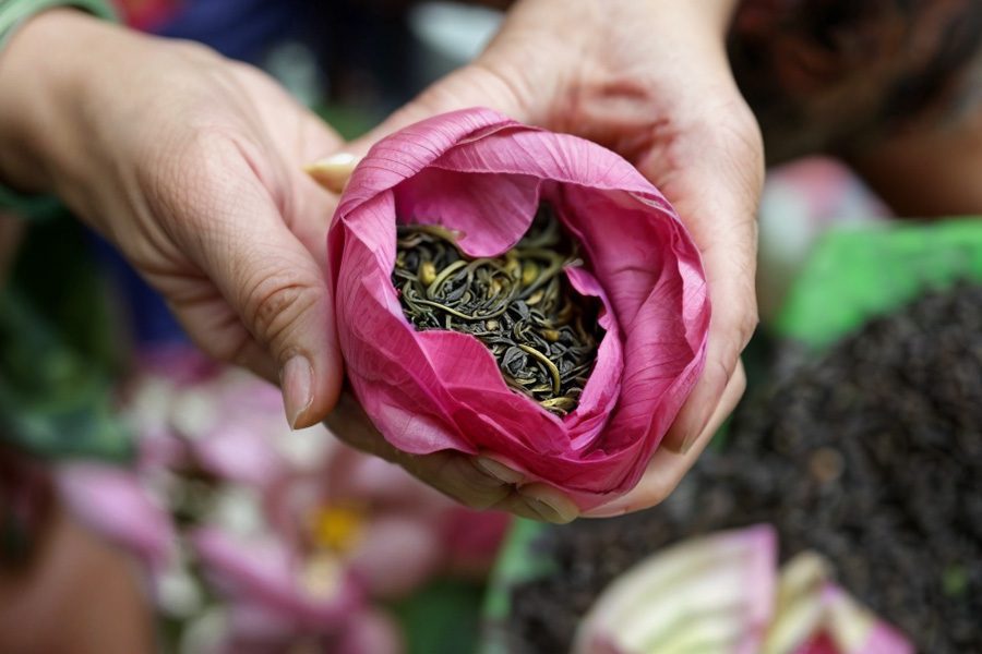 Tè de Loto (Trà Sen)