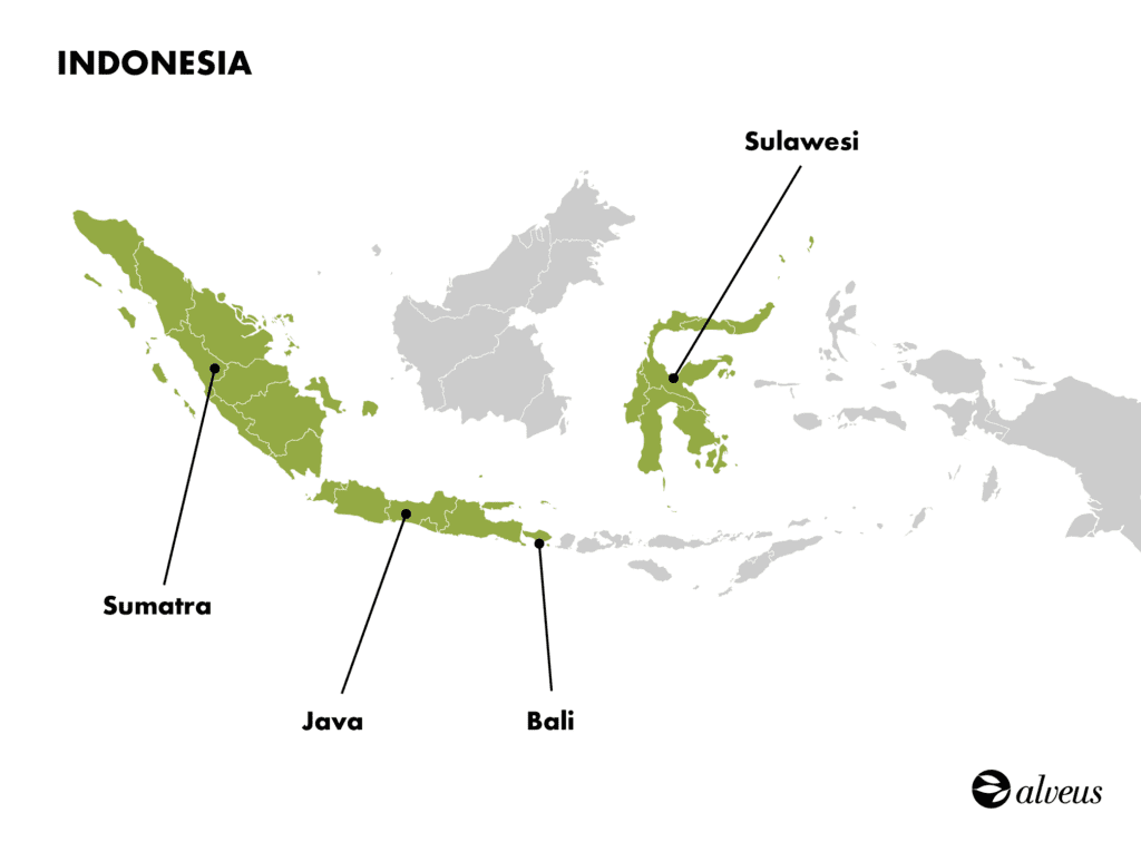 mappa della produzione del tè in Indonesia