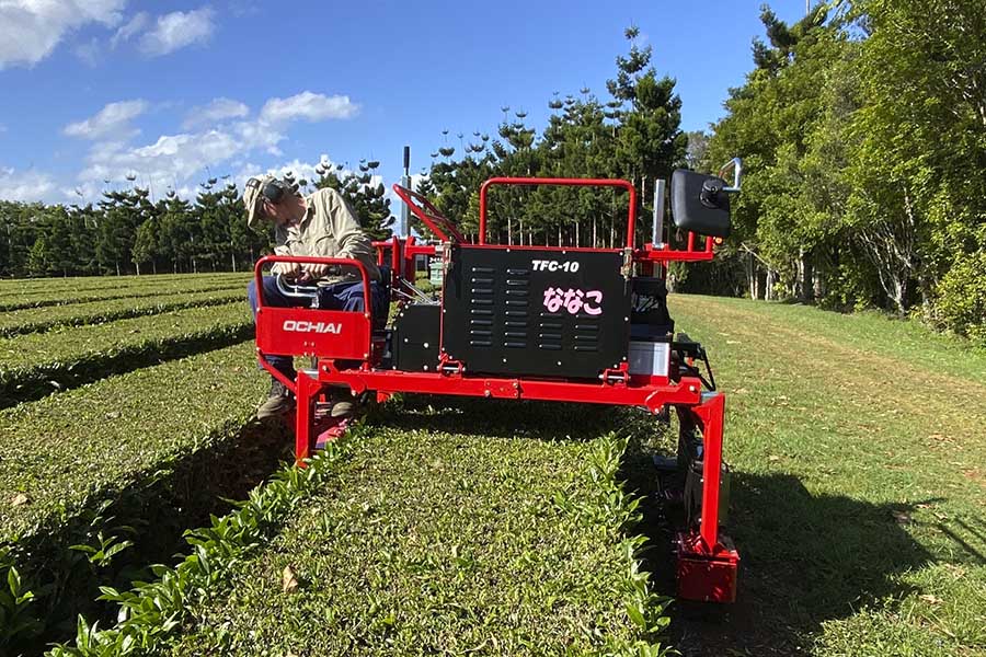 Mechanical Tea Harvest at Arakai Estate