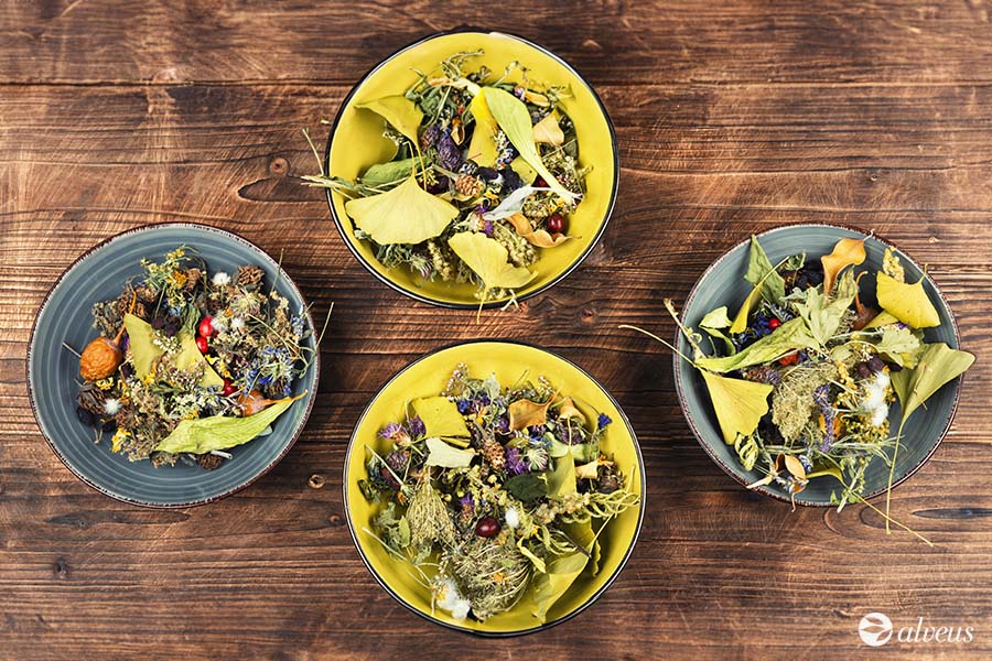 plantes médicinales