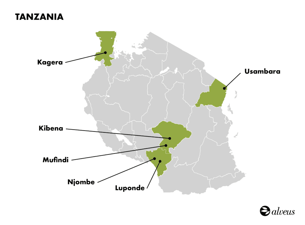 production de thé en Tanzanie