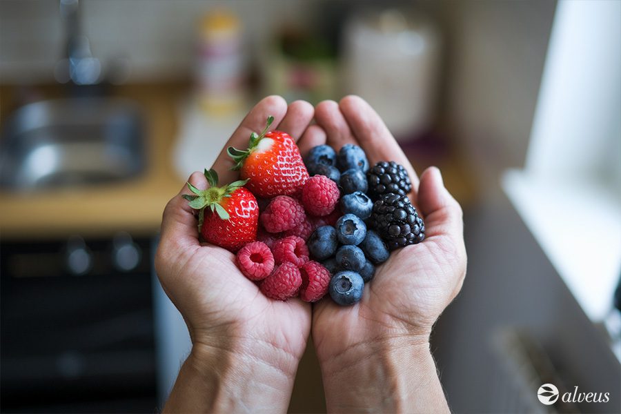 polyphenols antioxidant