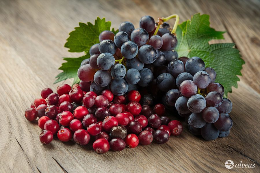grapes American cranberry proanthocyanidins