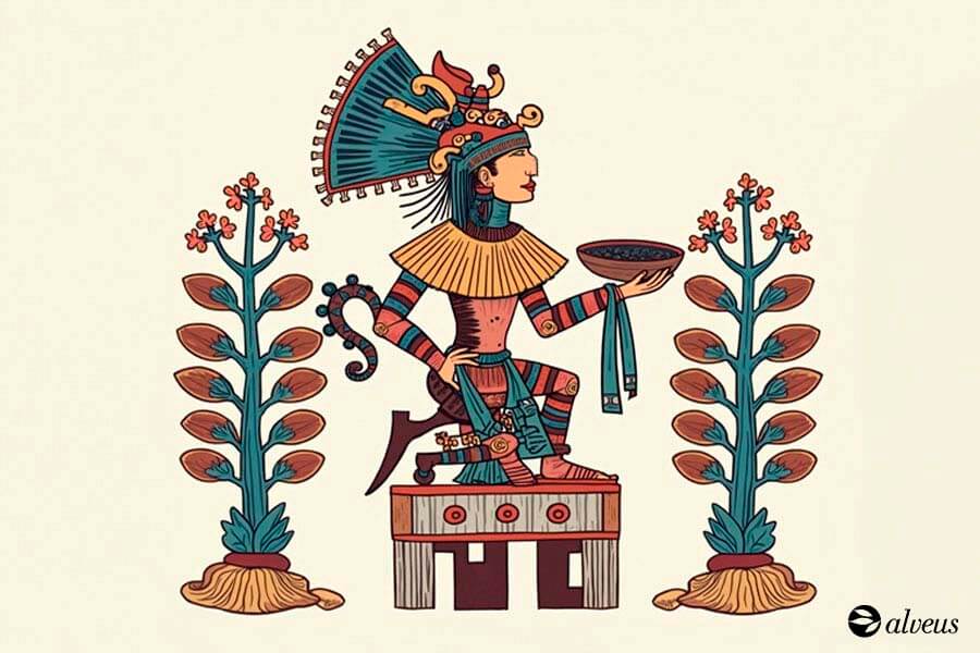 cacao plante médicinale utilisée par les aztèques