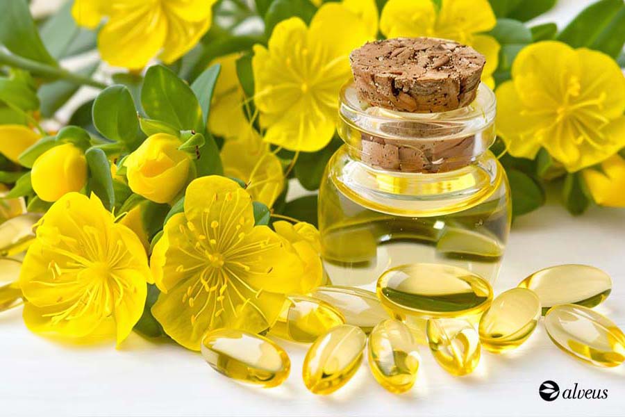Onagra hierba medicinal