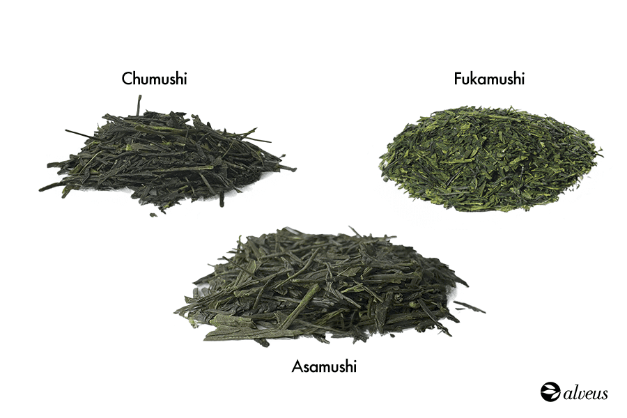 Tipos de Sencha