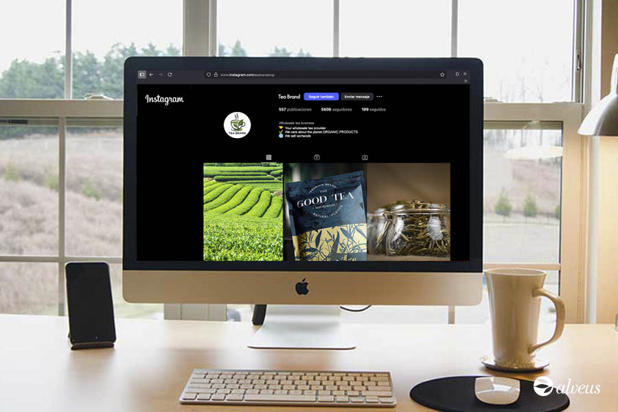 diseño feed instagram té