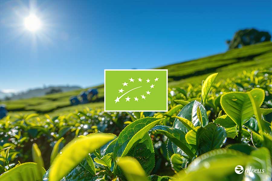 giardino di tè biologico