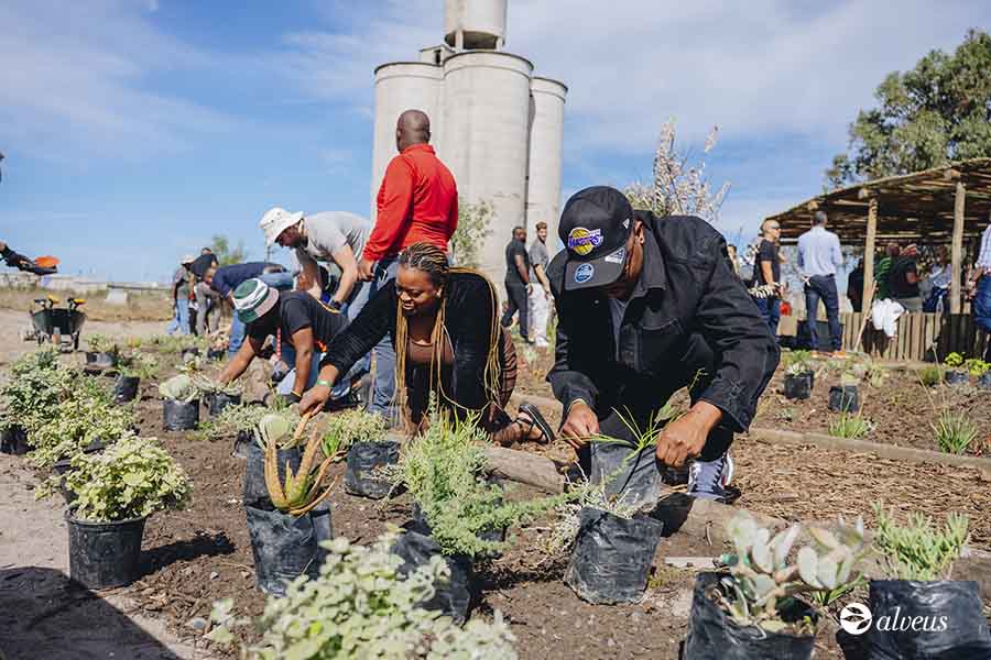 Reforestation avec Greenpop