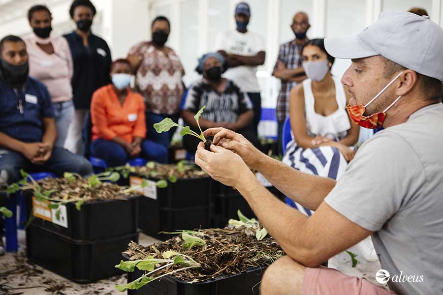 Vivai di lavoro di Greenpop