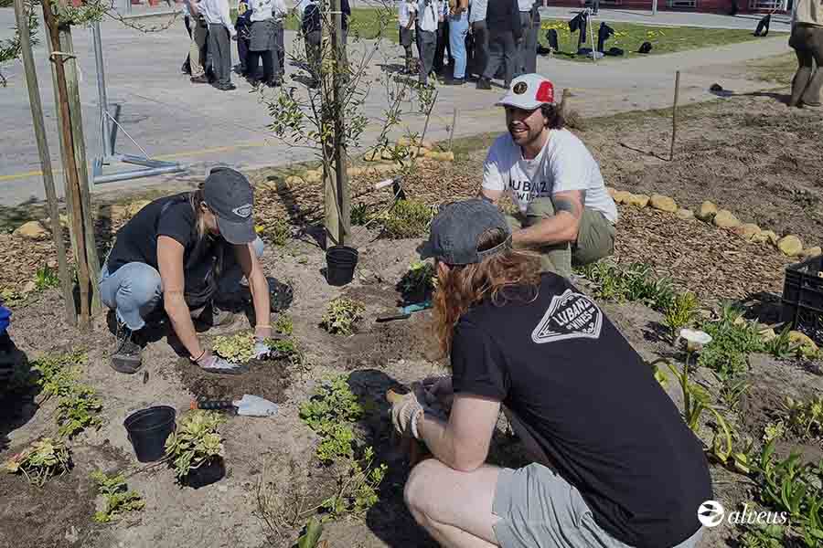 Programma Urban Greening
