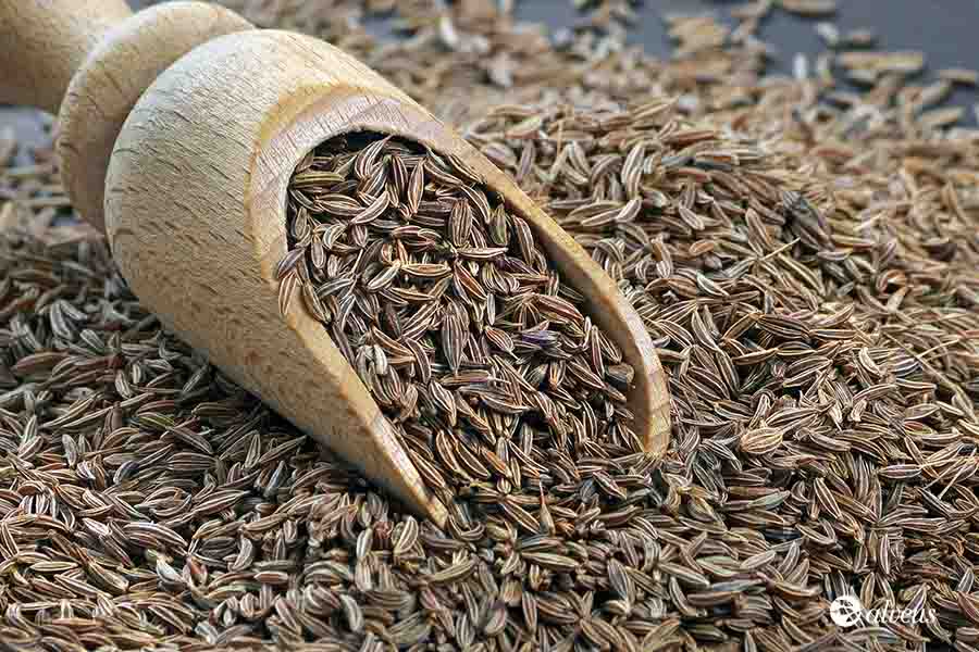 cumin seeds
