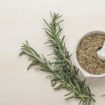 rosemary plant and dried rosemary