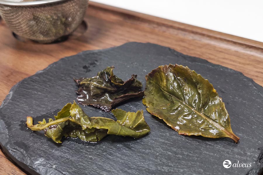 feuille de thé oolong ouverte