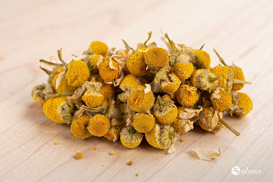 fiori di camomilla