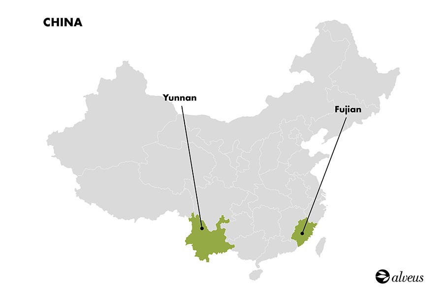 Fujian y Yunnan
