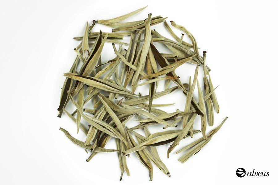 Silver Needle tea