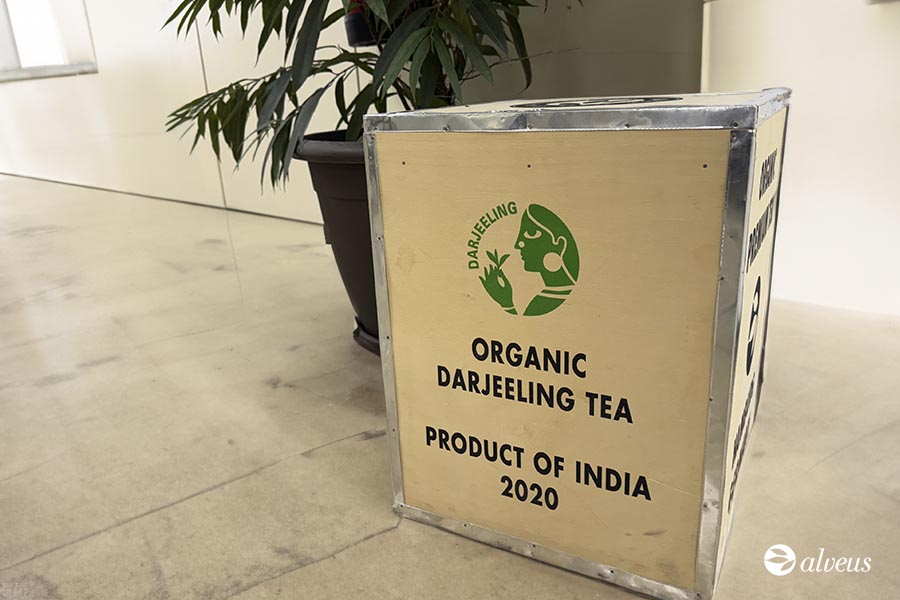 Darjeeling fly tea