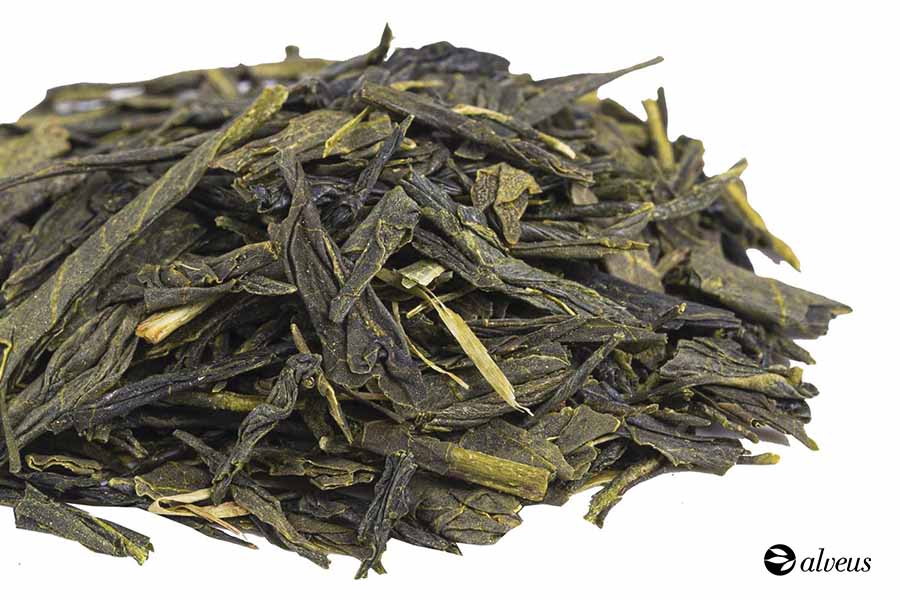Special Japan Sencha tea