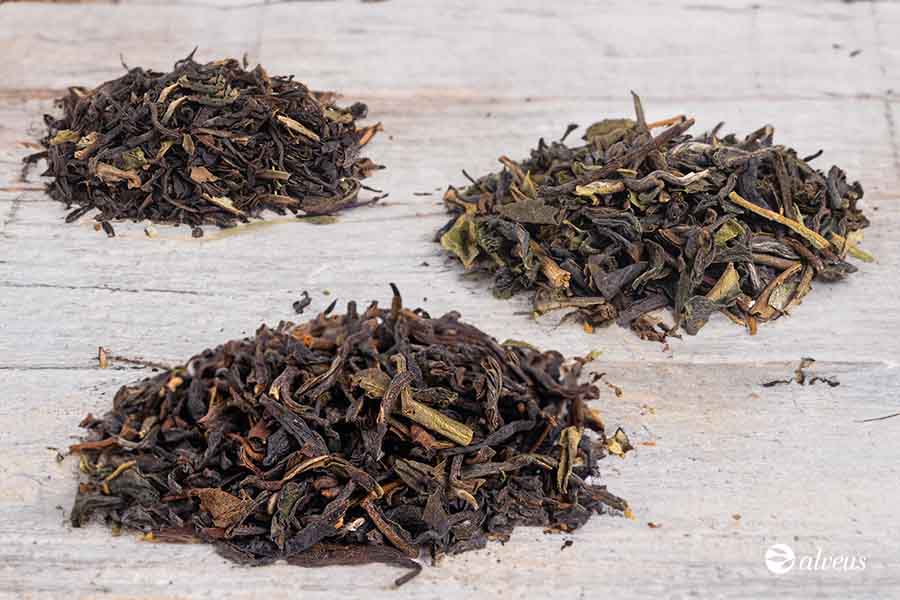 tés darjeeling Second Flush